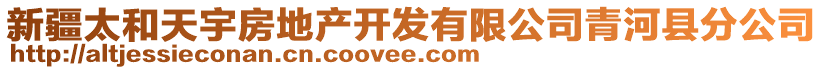 新疆太和天宇房地產(chǎn)開發(fā)有限公司青河縣分公司