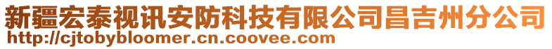 新疆宏泰視訊安防科技有限公司昌吉州分公司