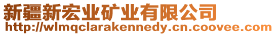 新疆新宏業(yè)礦業(yè)有限公司