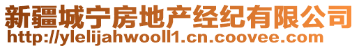 新疆城寧房地產(chǎn)經(jīng)紀(jì)有限公司