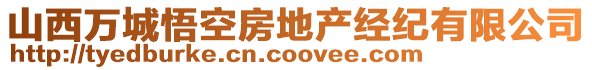 山西萬城悟空房地產(chǎn)經(jīng)紀(jì)有限公司