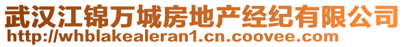 武漢江錦萬城房地產(chǎn)經(jīng)紀有限公司