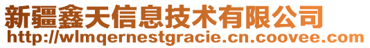 新疆鑫天信息技術(shù)有限公司