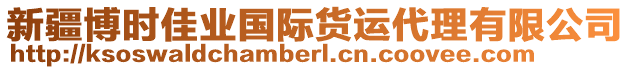 新疆博時佳業(yè)國際貨運代理有限公司