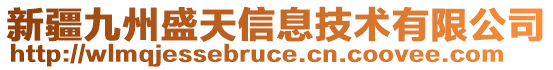 新疆九州盛天信息技術有限公司