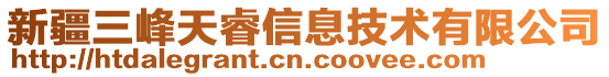 新疆三峰天睿信息技術有限公司