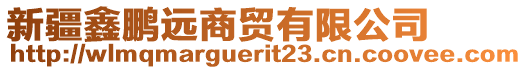 新疆鑫鵬遠商貿(mào)有限公司