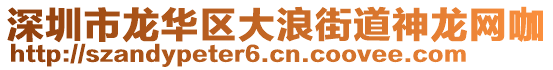 深圳市龍華區(qū)大浪街道神龍網(wǎng)咖