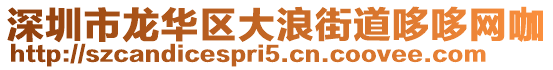 深圳市龍華區(qū)大浪街道哆哆網(wǎng)咖