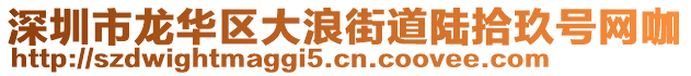 深圳市龍華區(qū)大浪街道陸拾玖號網(wǎng)咖