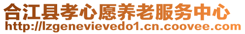 合江縣孝心愿養(yǎng)老服務中心