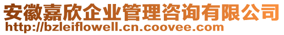 安徽嘉欣企業(yè)管理咨詢有限公司