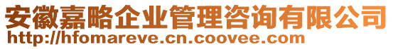 安徽嘉略企業(yè)管理咨詢有限公司