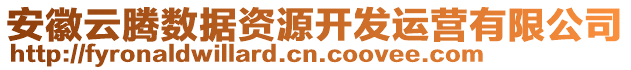 安徽云騰數(shù)據(jù)資源開發(fā)運(yùn)營有限公司