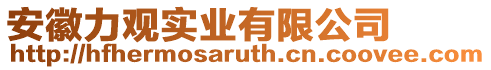 安徽力观实业有限公司