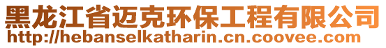 黑龙江省迈克环保工程有限公司