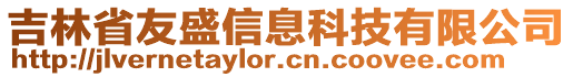 吉林省友盛信息科技有限公司