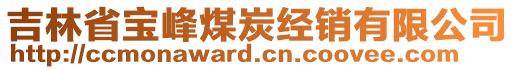 吉林省寶峰煤炭經(jīng)銷有限公司