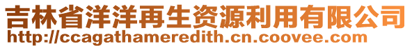 吉林省洋洋再生資源利用有限公司