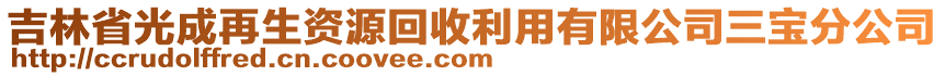 吉林省光成再生資源回收利用有限公司三寶分公司