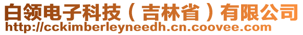 白領電子科技（吉林省）有限公司