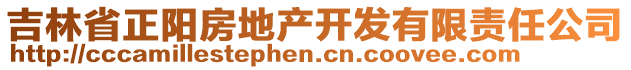 吉林省正陽(yáng)房地產(chǎn)開發(fā)有限責(zé)任公司