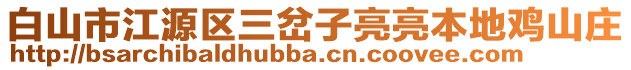 白山市江源区三岔子亮亮本地鸡山庄