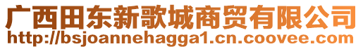 廣西田東新歌城商貿(mào)有限公司