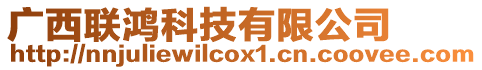 廣西聯(lián)鴻科技有限公司