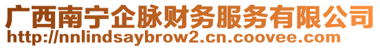 廣西南寧企脈財(cái)務(wù)服務(wù)有限公司