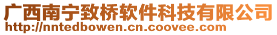 廣西南寧致橋軟件科技有限公司