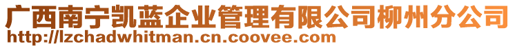 廣西南寧凱藍(lán)企業(yè)管理有限公司柳州分公司