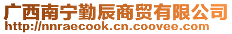 廣西南寧勤辰商貿有限公司