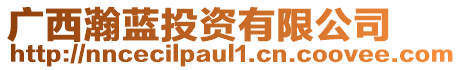 廣西瀚藍(lán)投資有限公司