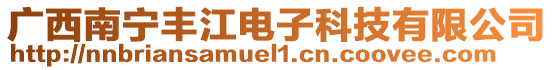 廣西南寧豐江電子科技有限公司