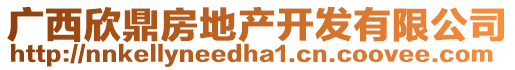 廣西欣鼎房地產(chǎn)開發(fā)有限公司