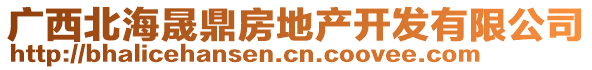 廣西北海晟鼎房地產(chǎn)開(kāi)發(fā)有限公司