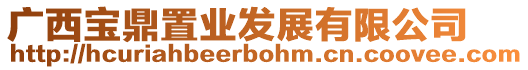 廣西寶鼎置業(yè)發(fā)展有限公司