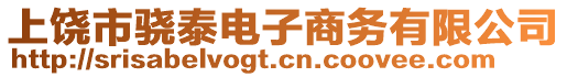 上饒市驍泰電子商務(wù)有限公司