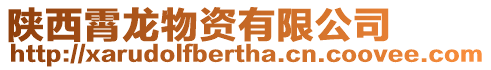 陜西霄龍物資有限公司
