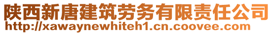 陜西新唐建筑勞務(wù)有限責(zé)任公司