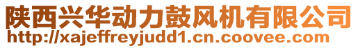 陜西興華動(dòng)力鼓風(fēng)機(jī)有限公司