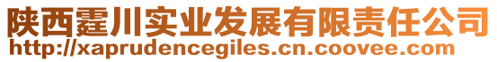 陜西霆川實(shí)業(yè)發(fā)展有限責(zé)任公司