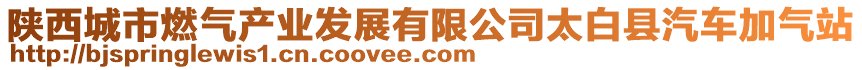 陜西城市燃?xì)猱a(chǎn)業(yè)發(fā)展有限公司太白縣汽車(chē)加氣站