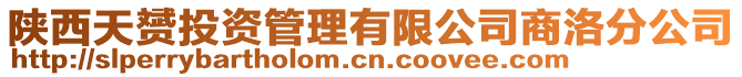 陜西天赟投資管理有限公司商洛分公司