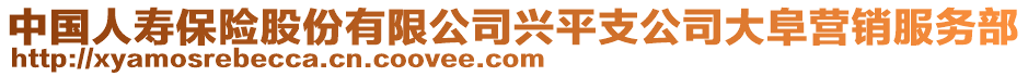 中國人壽保險股份有限公司興平支公司大阜營銷服務(wù)部