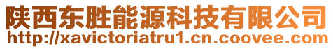 陜西東勝能源科技有限公司