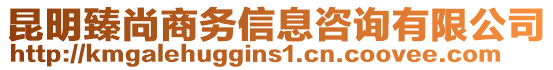 昆明臻尚商務(wù)信息咨詢有限公司