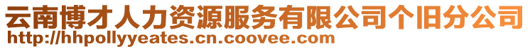 云南博才人力資源服務有限公司個舊分公司