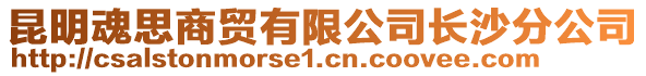 昆明魂思商貿(mào)有限公司長(zhǎng)沙分公司